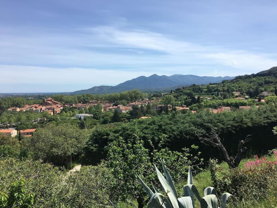 Au Coeur De Ville Avec Terrasse Ceret Luaran gambar