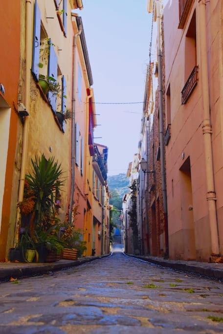 Au Coeur De Ville Avec Terrasse Ceret Luaran gambar